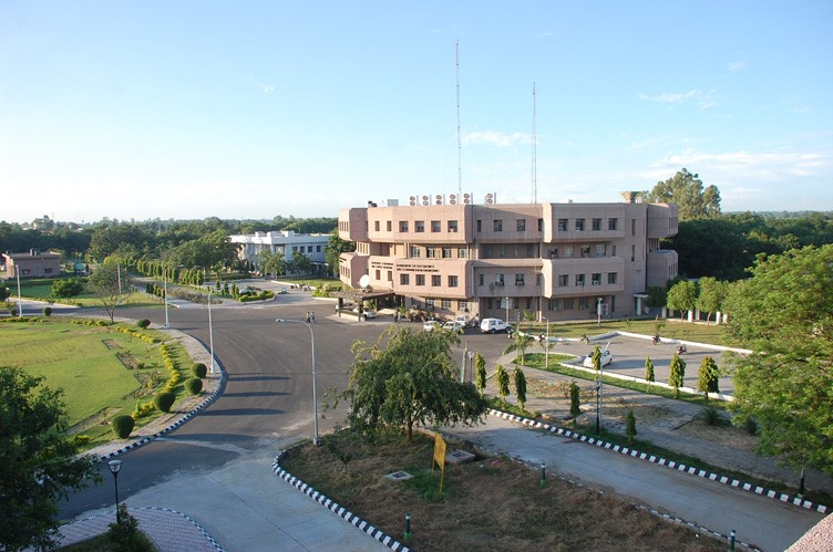 NIT Jalandhar